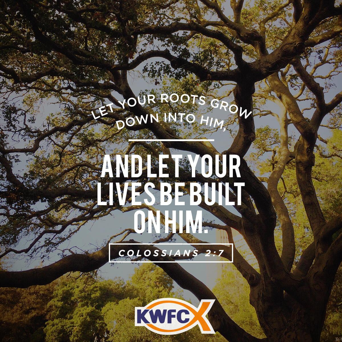 Colossians 2:7 - Verse of the Day