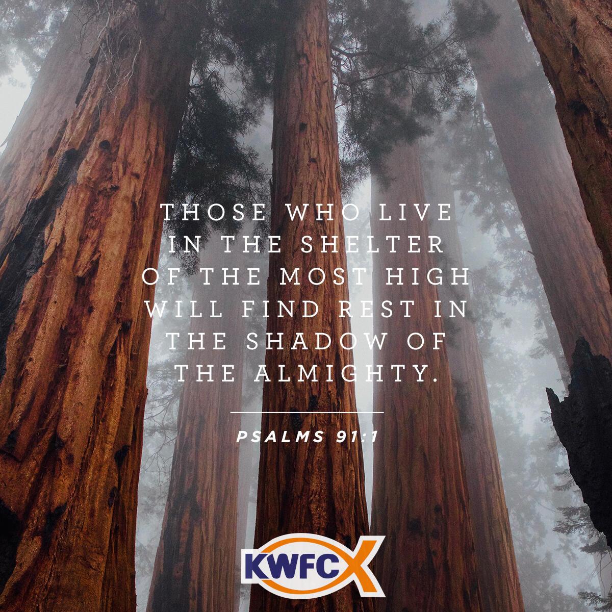 Psalms 91:1 - Verse of the Day