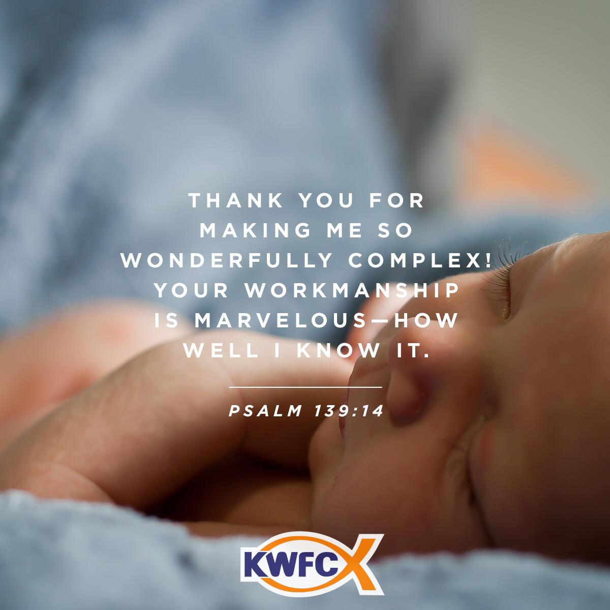 Psalm 139:14 - Verse of the Day