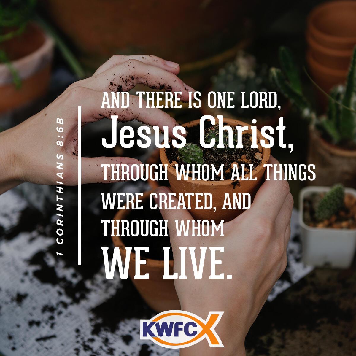 1 Corinthians 8:6b - Verse of the Day