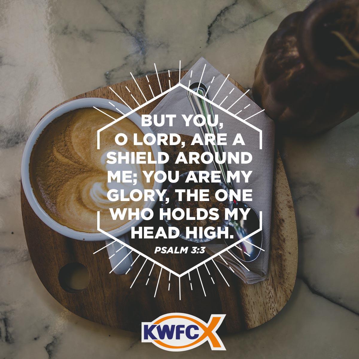 Psalm 3:3 - Verse of the Day