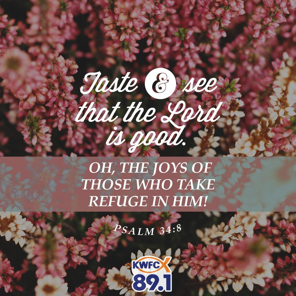 Psalm 34:8 - Verse of the Day