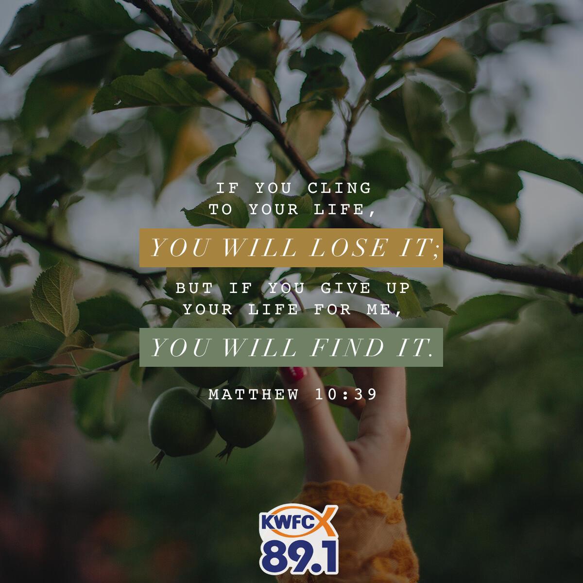 Matthew 10:39 - Verse of the Day