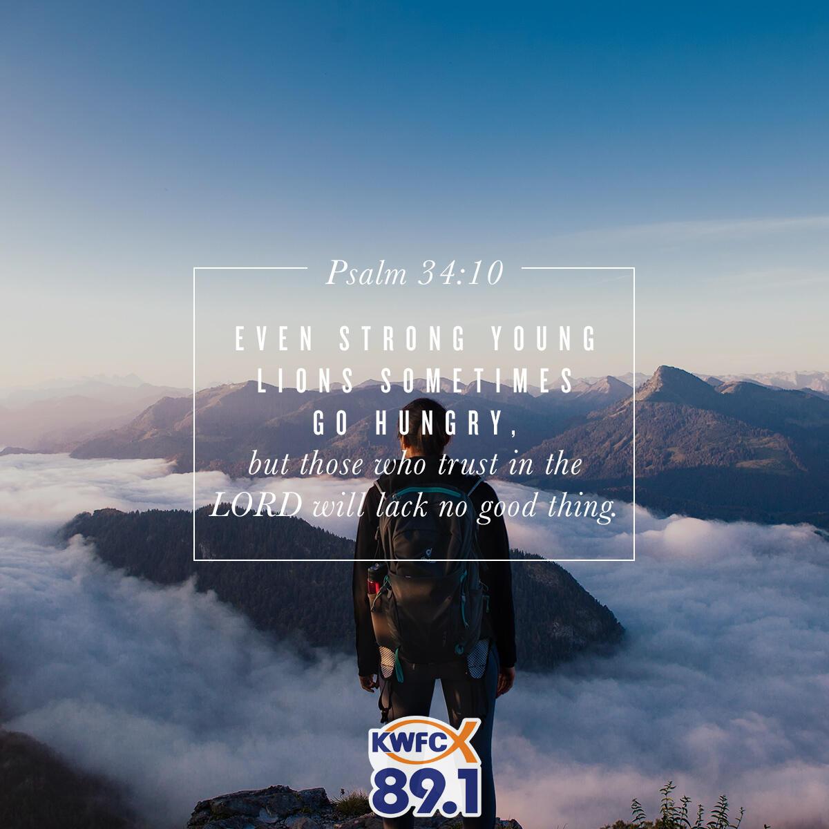 Psalm 34:10 - Verse of the Day