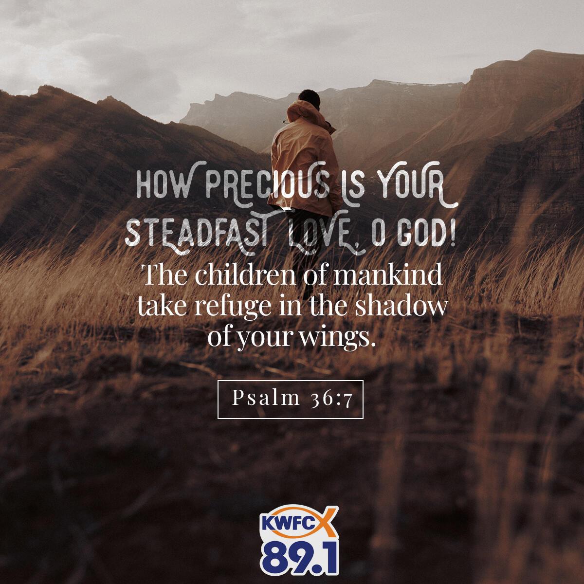 Psalm 36:7 - Verse of the Day