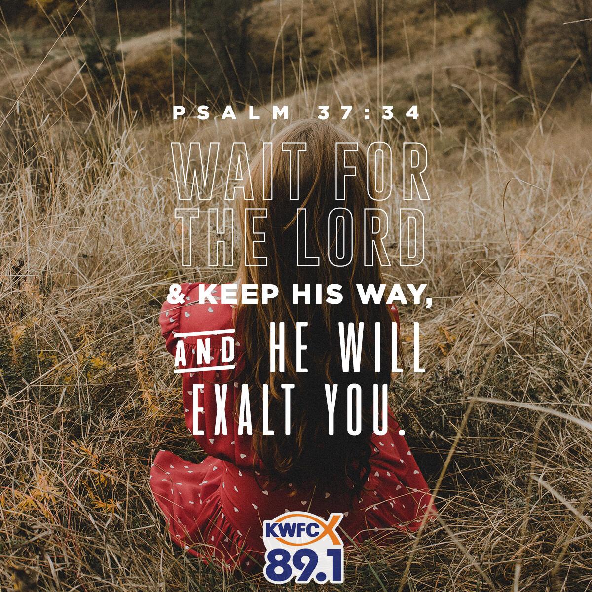 Psalm 37:34 - Verse of the Day