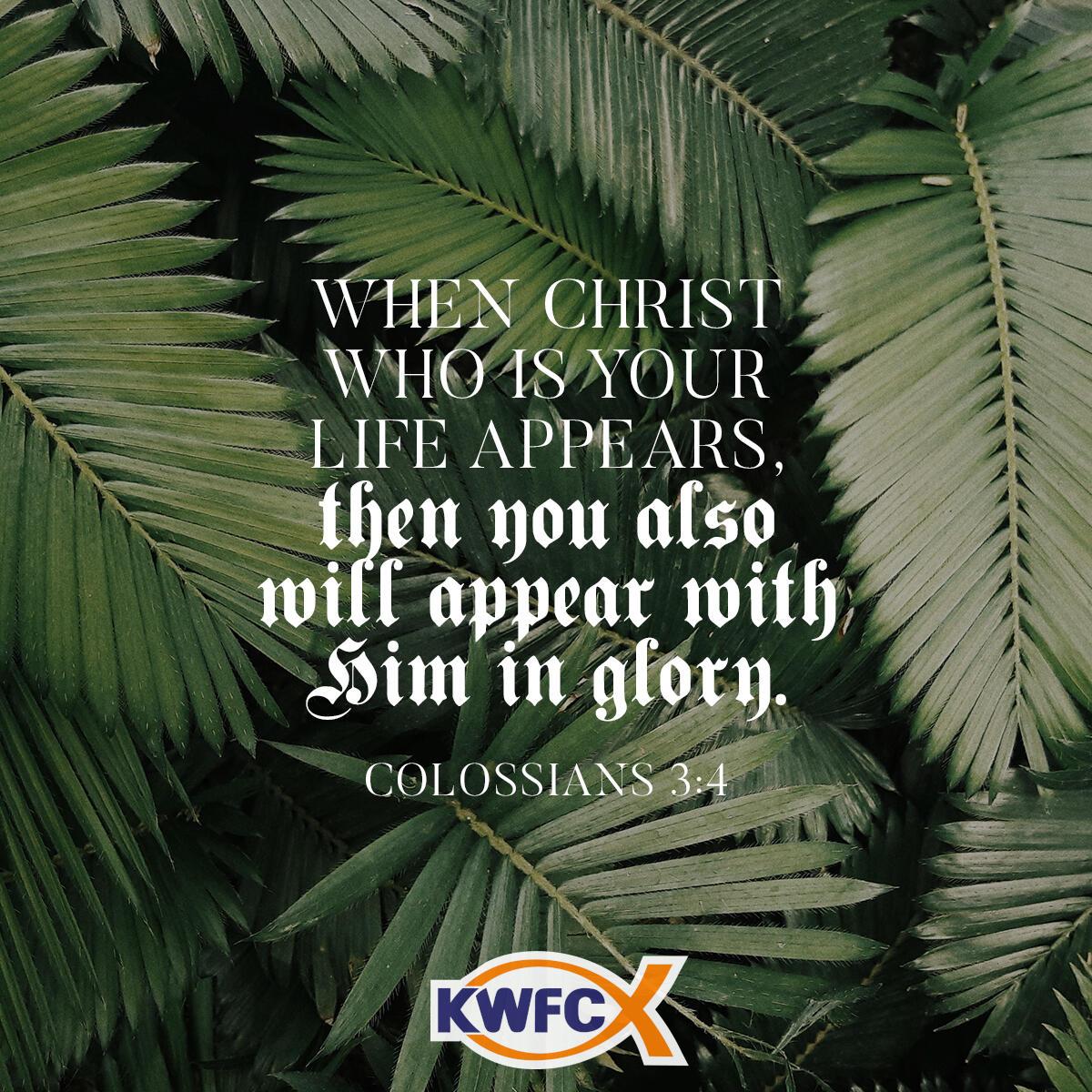 Colossians 3:4 - Verse of the Day